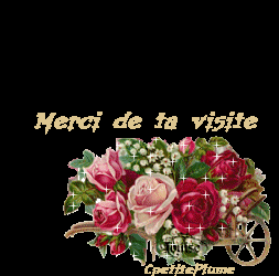 la visite
