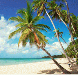 destination de reve