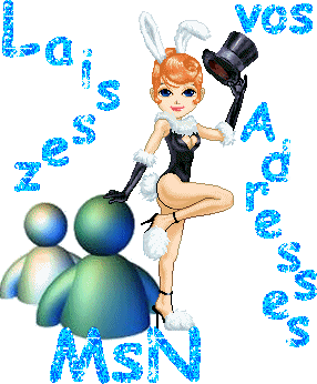adresses msn